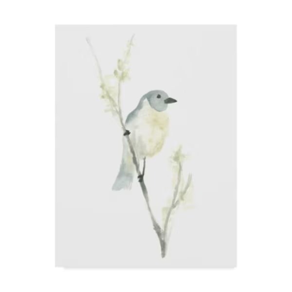 June Erica Vess 'Avian Impressions Iii' Canvas Art, 35x47, Trademark Fine Art, Mfr#: WAG06591-C3547GG